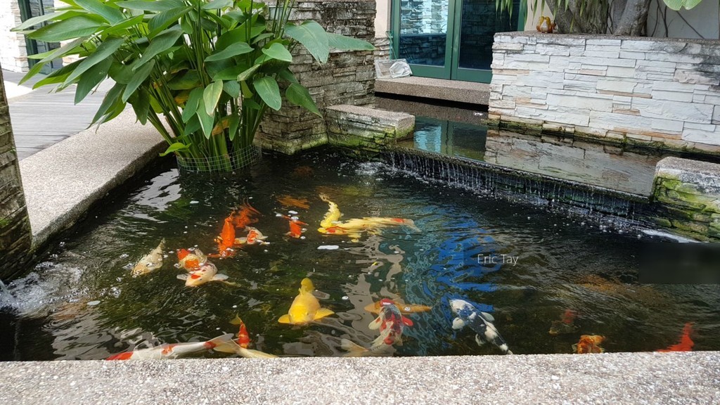 Pebble Bay (D15), Condominium #138455912